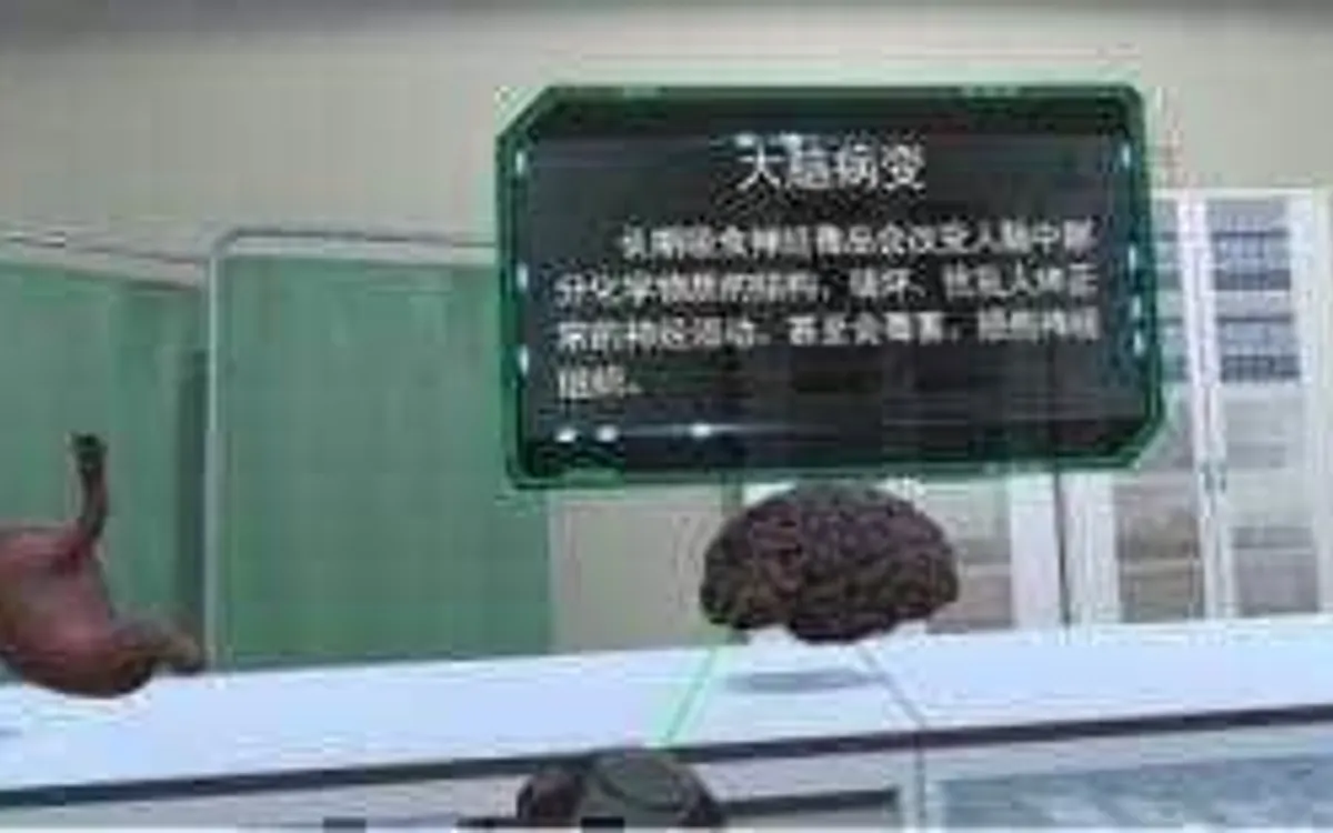 VR吸食毒品后容貌及器官的变化