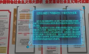 国民大革命中途夭折