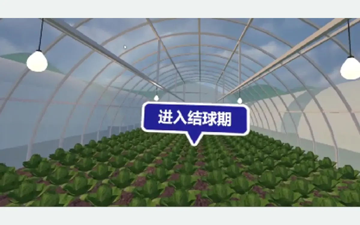 温室大棚白菜VR虚拟体验